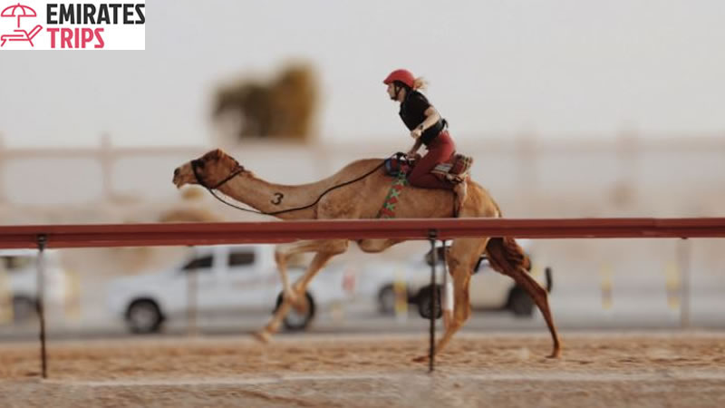 Dinner in desert | Desert safari Bab Al Shams | Dubai Desert Safari | Sunrise Safari | Desert Safari Dubai | Dubai city tour | Thing to do in Dubai | Abu Dhabi City tour | Camel Riding Dubai | Dune Buggy Dubai