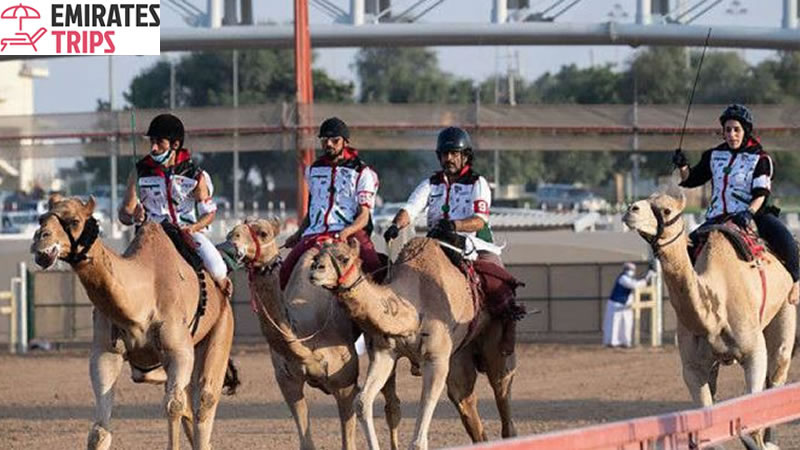 Dinner in desert | Desert safari Bab Al Shams | Dubai Desert Safari | Sunrise Safari | Desert Safari Dubai | Dubai city tour | Thing to do in Dubai | Abu Dhabi City tour | Camel Riding Dubai | Dune Buggy Dubai
