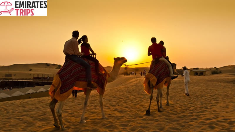 Dinner in desert | Desert safari Bab Al Shams | Dubai Desert Safari | Sunrise Safari | Desert Safari Dubai | Dubai city tour | Thing to do in Dubai | Abu Dhabi City tour | Camel Riding Dubai | Dune Buggy Dubai
