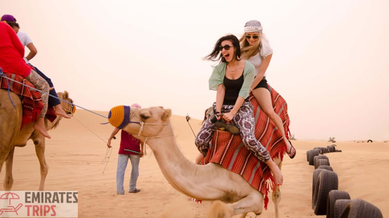 Desert safari Bab Al Shams | Dubai Desert Safari | Sunrise Safari | Desert Safari Dubai | Dinner in desert | Dubai city tour | Thing to do in Dubai | Abu Dhabi City tour | 6 Emirates tour in a Day
