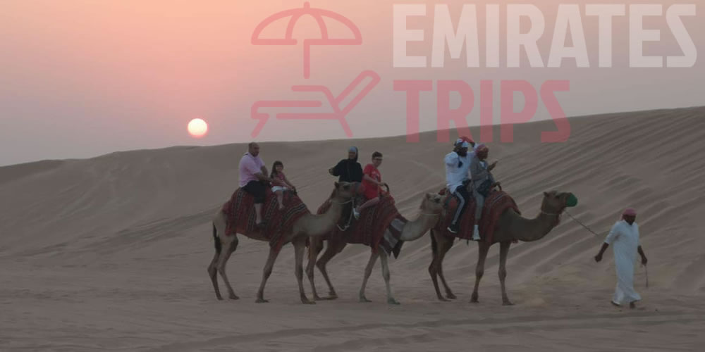 Desert safari Bab Al Shams | Dubai Desert Safari | Sunrise Safari | Desert Safari Dubai | Morning Safari Dubai | Evening Safari Dubai | Overnight Safari Dubai | Thing to do in Dubai | Dinner in desert | Abu Dhabi City tour
