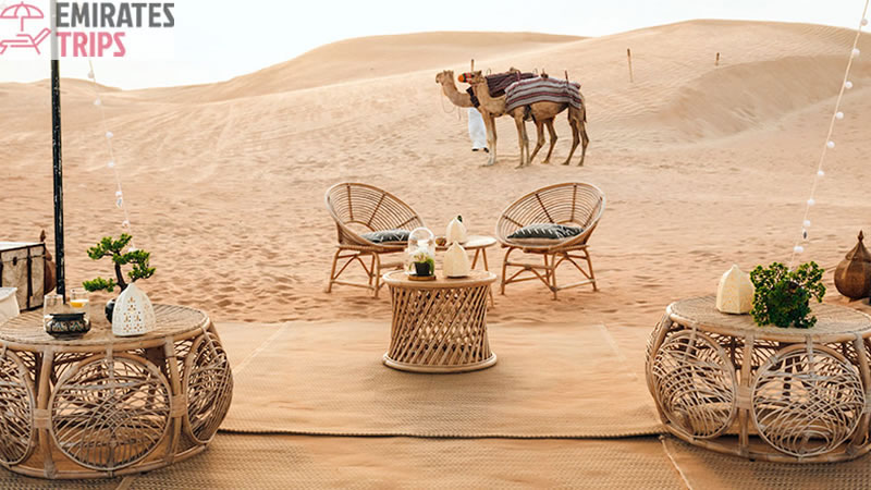 Dinner in desert | Desert safari Bab Al Shams | Dubai Desert Safari | Sunrise Safari | Desert Safari Dubai | Dubai city tour | Thing to do in Dubai | Abu Dhabi City tour | 6 Emirates tour in a Day | Dune Buggy Dubai
