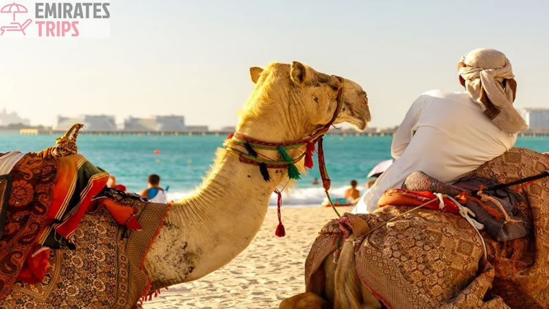 Dinner in desert | Desert safari Bab Al Shams | Dubai Desert Safari | Sunrise Safari | Desert Safari Dubai | Dubai city tour | Thing to do in Dubai | Abu Dhabi City tour | Camel Riding Dubai | Dune Buggy Dubai