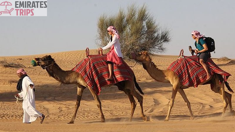 Dinner in desert | Desert safari Bab Al Shams | Dubai Desert Safari | Sunrise Safari | Desert Safari Dubai | Dubai city tour | Thing to do in Dubai | Abu Dhabi City tour | Camel Riding Dubai | Dune Buggy Dubai
