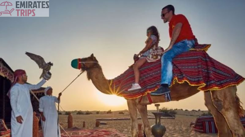 Dinner in desert | Desert safari Bab Al Shams | Dubai Desert Safari | Sunrise Safari | Desert Safari Dubai | Dubai city tour | Thing to do in Dubai | Abu Dhabi City tour | Camel Riding Dubai | Dune Buggy Dubai
