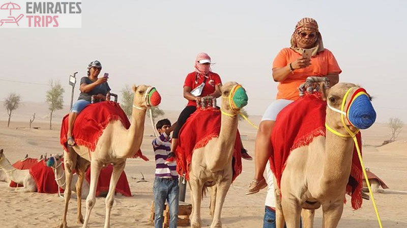 Dinner in desert | Desert safari Bab Al Shams | Dubai Desert Safari | Sunrise Safari | Desert Safari Dubai | Dubai city tour | Thing to do in Dubai | Abu Dhabi City tour | Camel Riding Dubai | Dune Buggy Dubai
