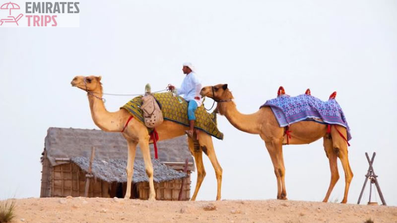 Dinner in desert | Desert safari Bab Al Shams | Dubai Desert Safari | Sunrise Safari | Desert Safari Dubai | Dubai city tour | Thing to do in Dubai | Abu Dhabi City tour | Camel Riding Dubai | Dune Buggy Dubai
