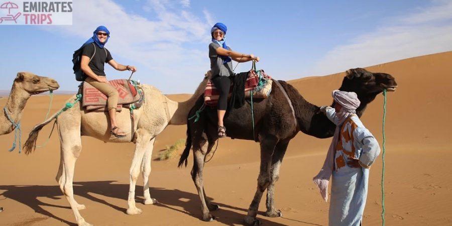 Dinner in desert | Desert safari Bab Al Shams | Dubai Desert Safari | Sunrise Safari | Desert Safari Dubai | Dubai city tour | Thing to do in Dubai | Abu Dhabi City tour | Camel Riding Dubai | Dune Buggy Dubai