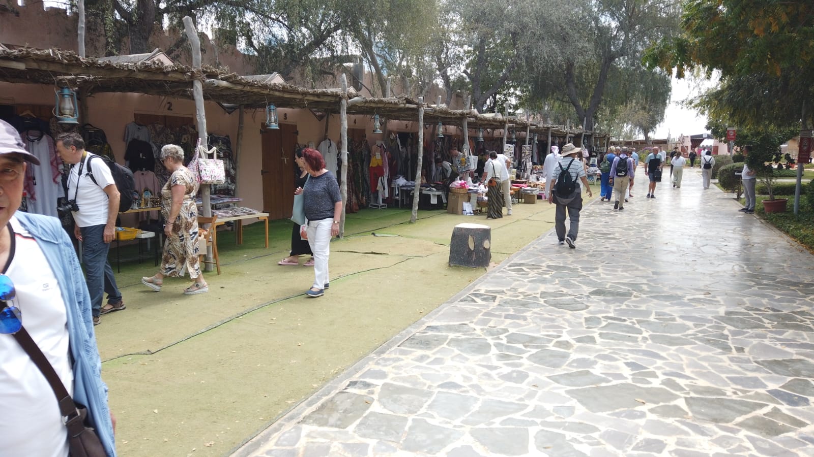 Abu Dhabi City Tour Shared