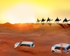 Desert Safari in Evening