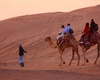 Camel Riding In Dubai