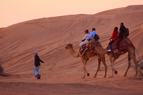 Camel Riding In Dubai